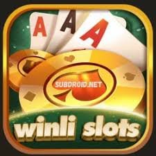 Winli Slots Game Logo